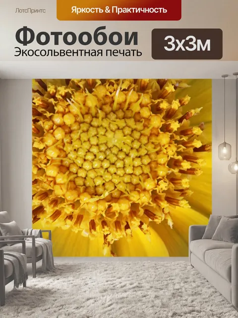 Фотообои крупный план центра желтой ромашки