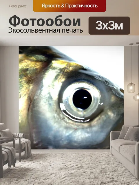 Фотообои Пресноводная рыба фото