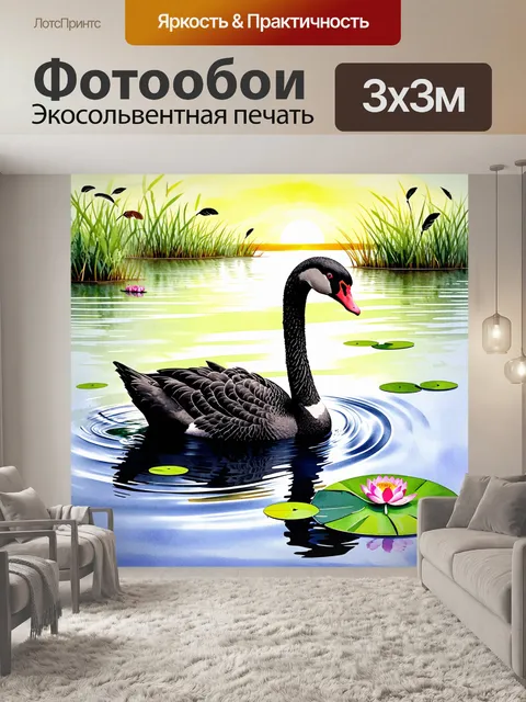 Фотообои изображение черного лебедя