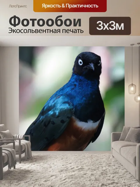 Фотообои Сияющая птица