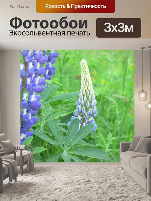 Фотообои Люпин