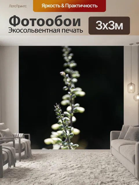 Фотообои Индиго
