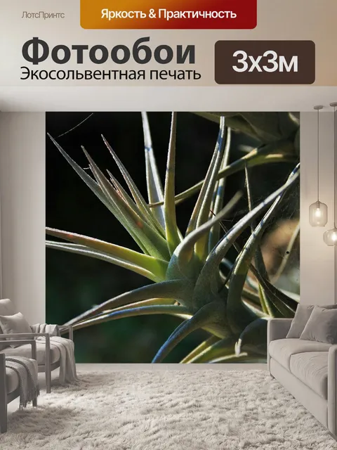 Фотообои Эпифитное растение