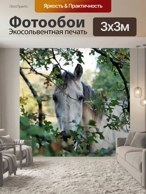 Фотообои Лошадь, выглядывающая сквозь деревья