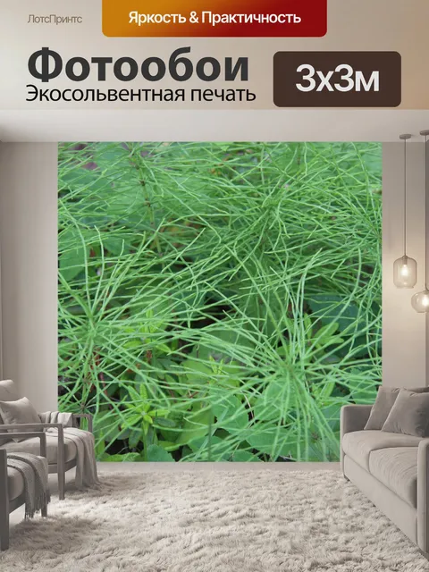 Фотообои Зеленые растения с линиями