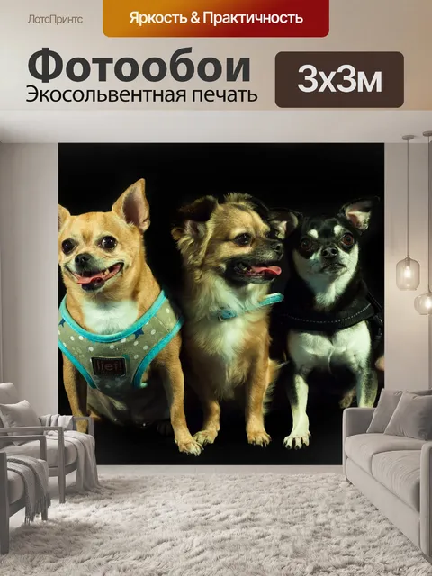 Фотообои Собаки