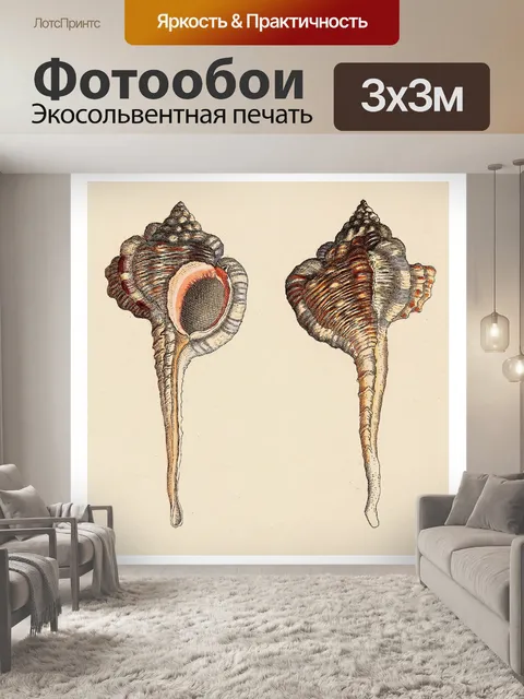Фотообои Иллюстрация старинных ракушек