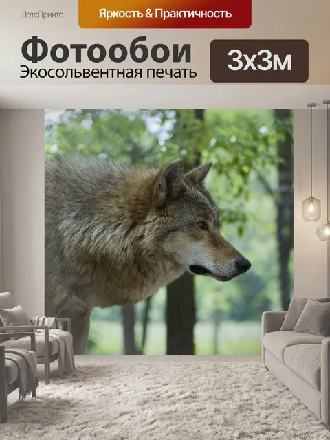 Фотообои Зверь
