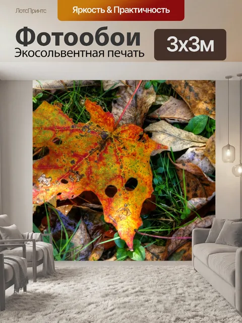 Фотообои Оранжевый кленовый лист