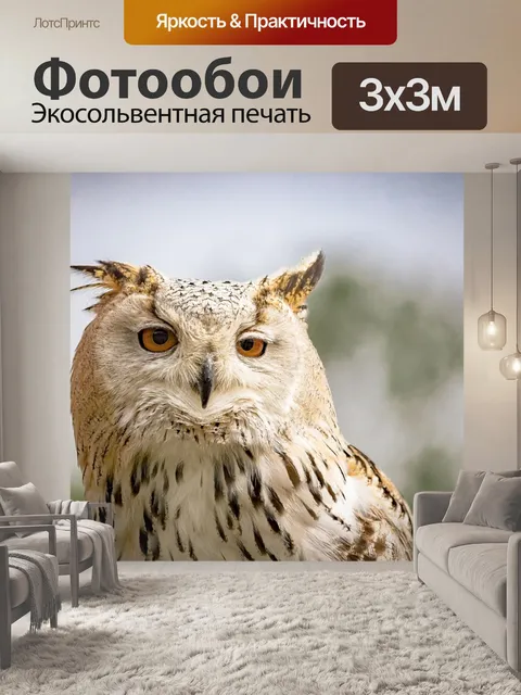 Фотообои Снежная сова