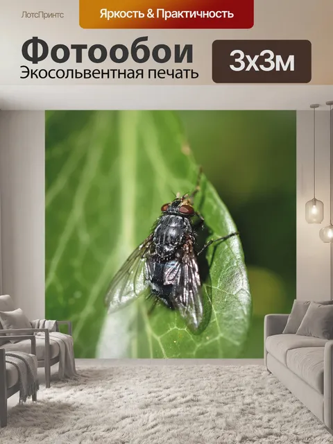 Фотообои Летать