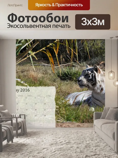 Фотообои Май 2 016 Календарь Белого Тигра