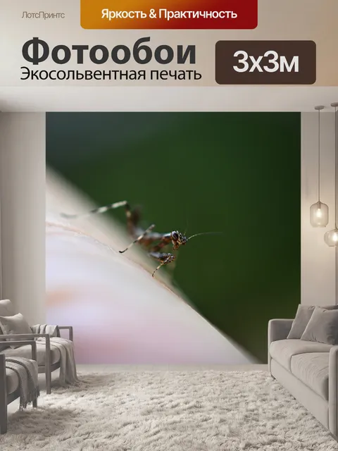 Фотообои Богомол