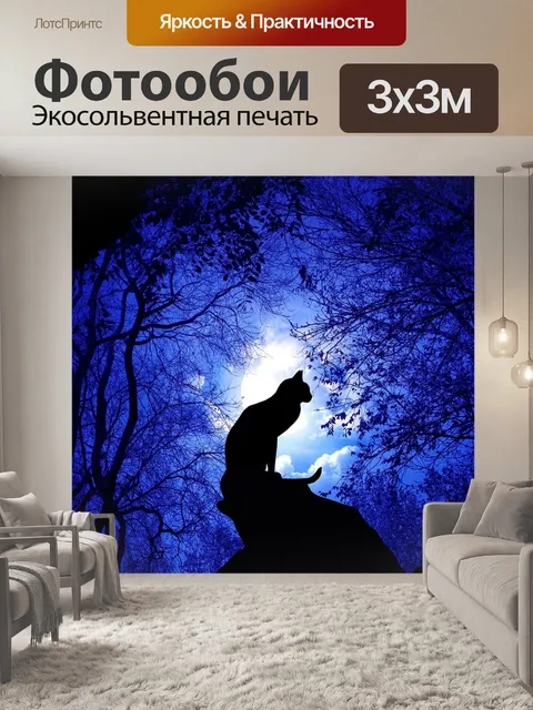 Фотообои Кот