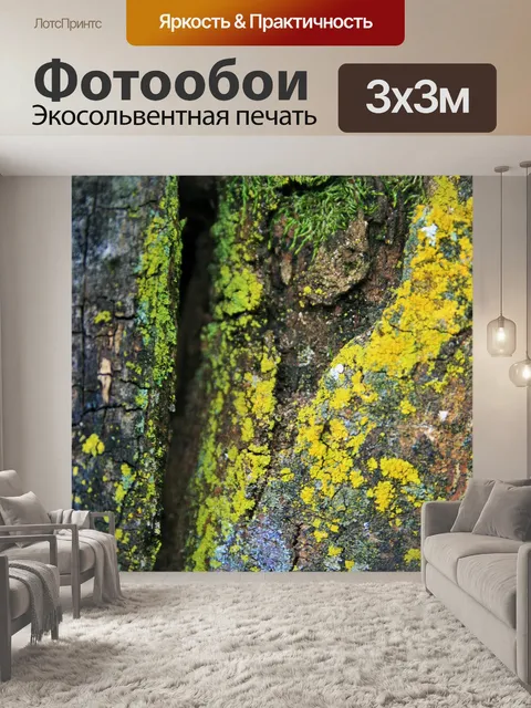 Фотообои лишайников и зеленый мох на стволе дерев