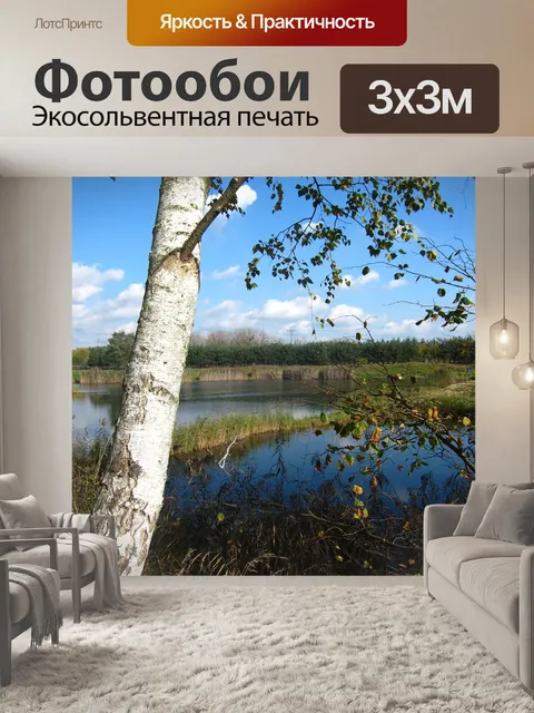 Фотообои Береза