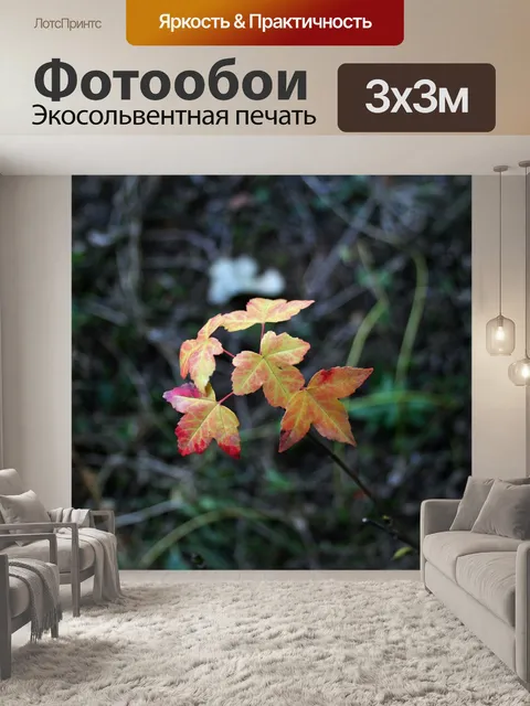 Фотообои розовые осенние листья