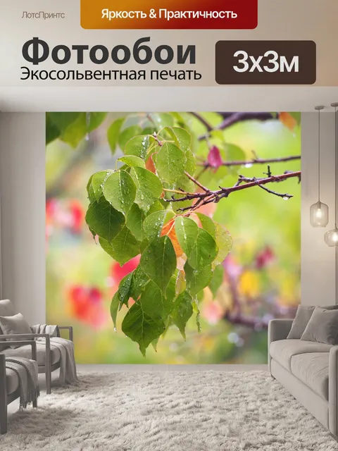 Фотообои Осенний цвет