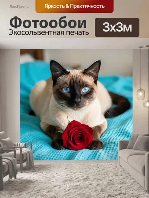 Фотообои Сиамский кот с красной розой