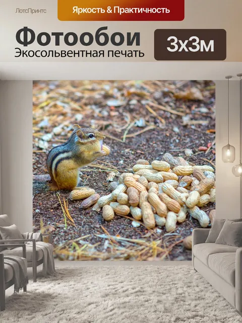 Фотообои Бурундук
