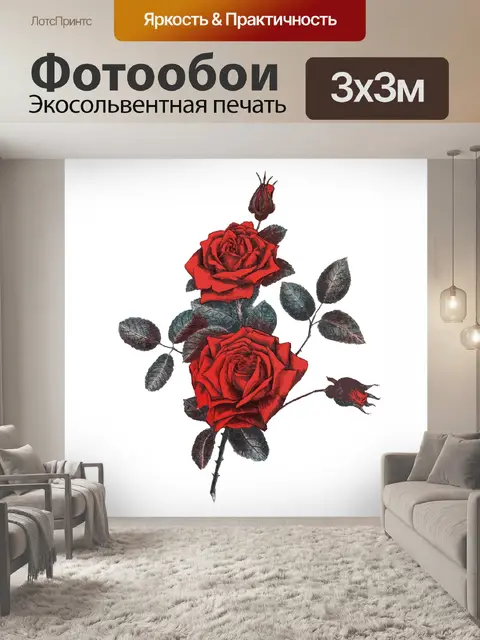 Фотообои Красная роза