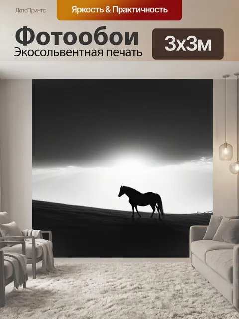 Фотообои пейзаж с лошадью чернобелый