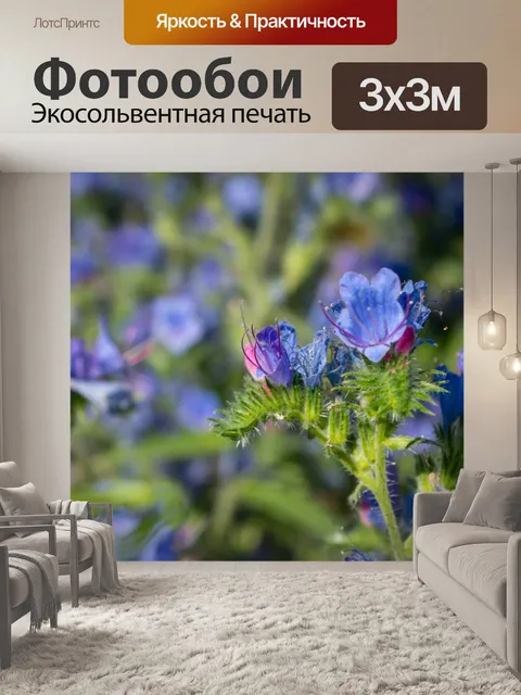 Фотообои Синие цветы, полевые цветы, бутоны