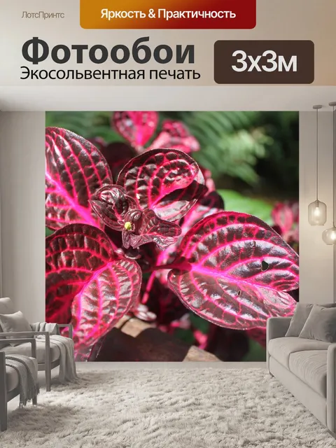 Фотообои Дерево