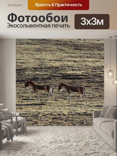 Фотообои Тибет