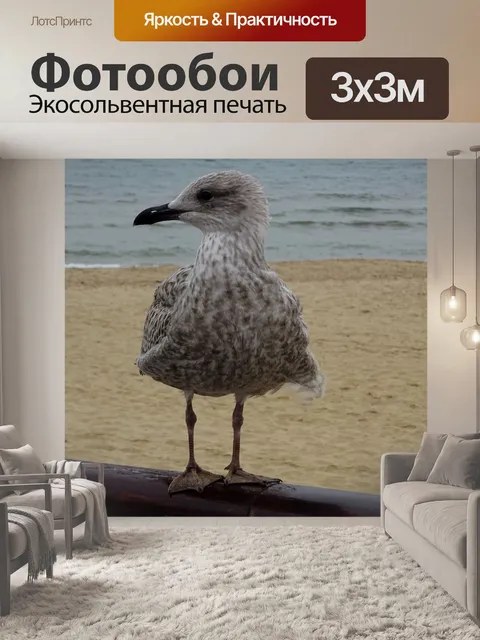 Фотообои Чайка на поручнях