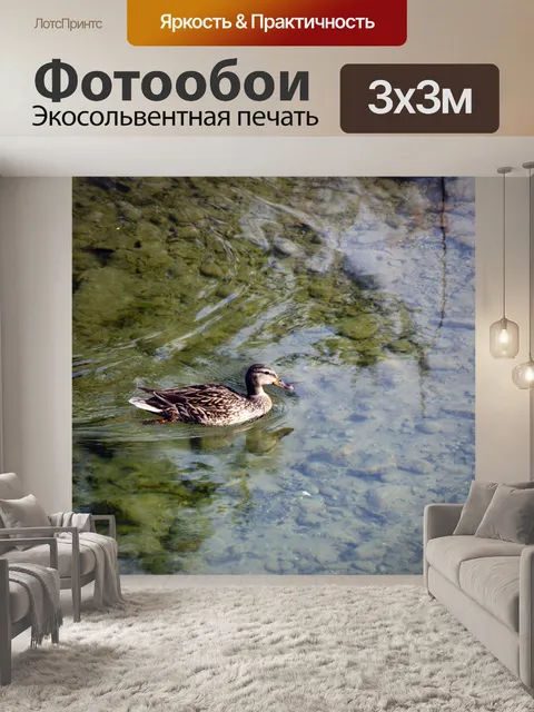 Фотообои Малдарская утка