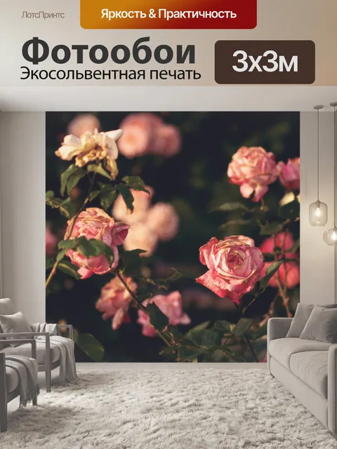 Фотообои Розы
