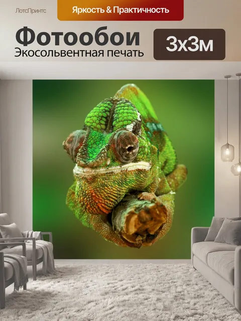 Фотообои хамелеон