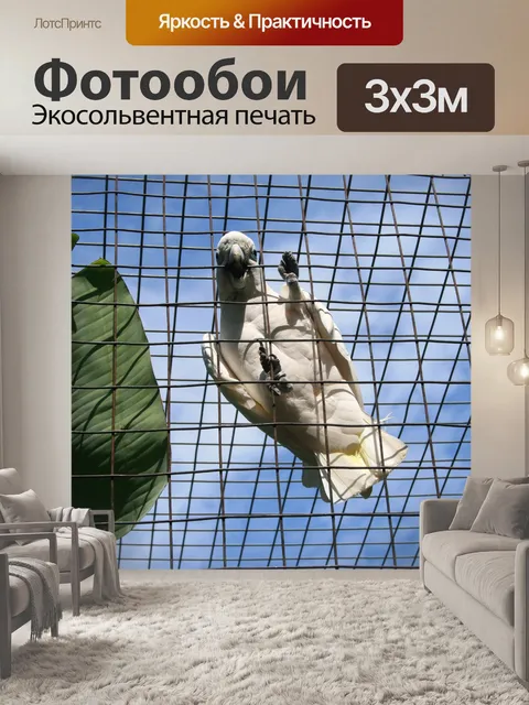 Фотообои белый какаду