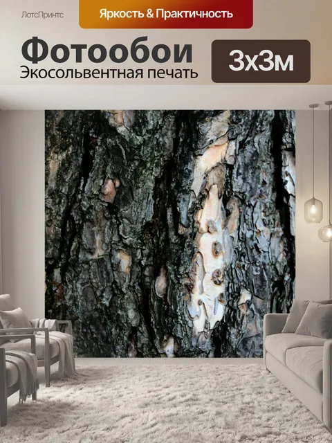 Фотообои Природа соснового леса в Фу Руа