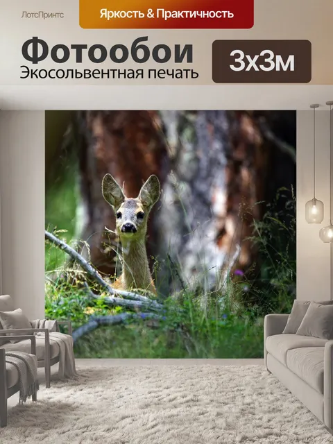 Фотообои Косуля