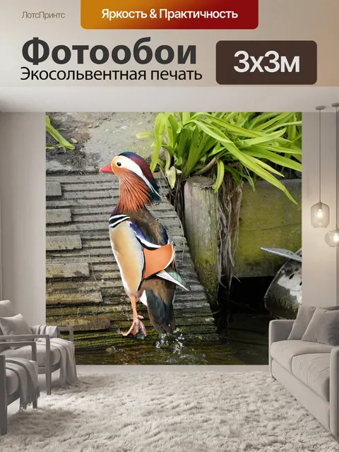Фотообои Утка