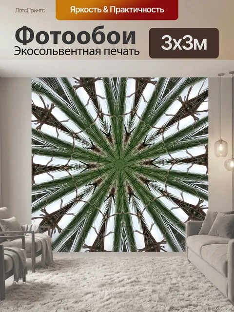 Фотообои Пальма