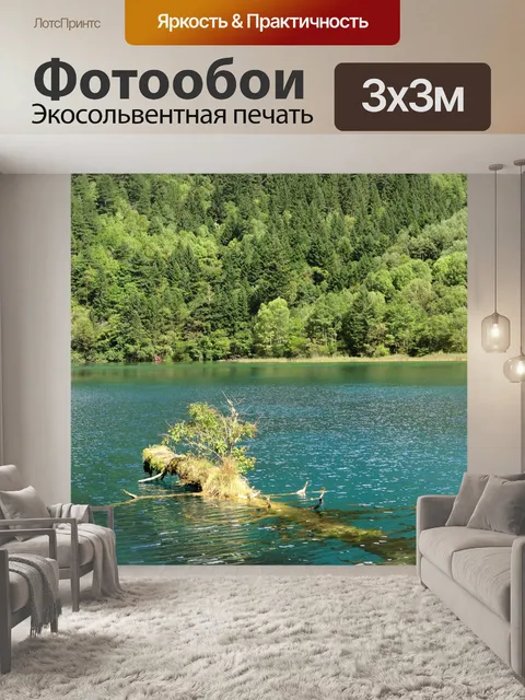 Фотообои Мертвые ветки