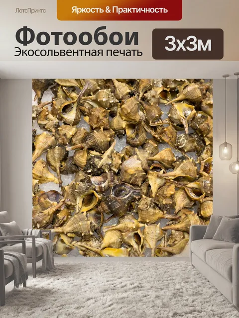 Фотообои Свежие ракушки на льду