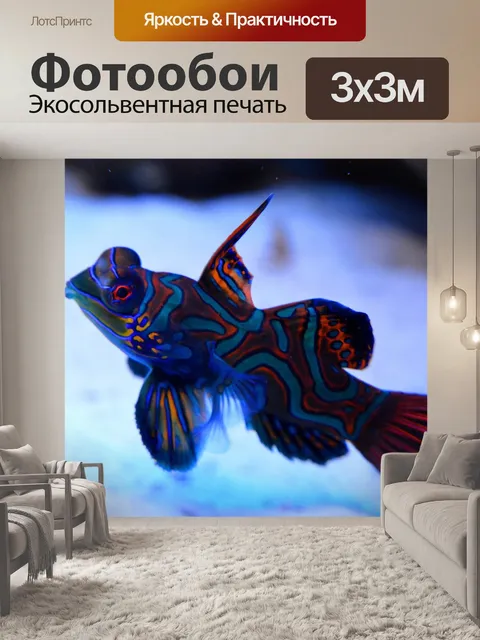 Фотообои Мандарин