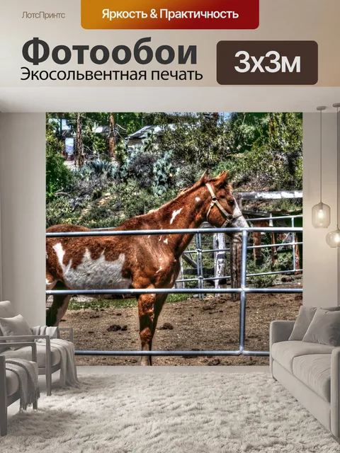 Фотообои Коричневая и белая лошадь