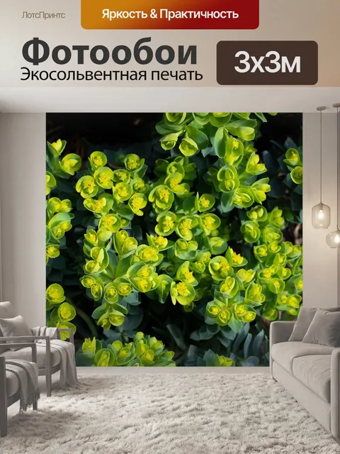 Фотообои Завод