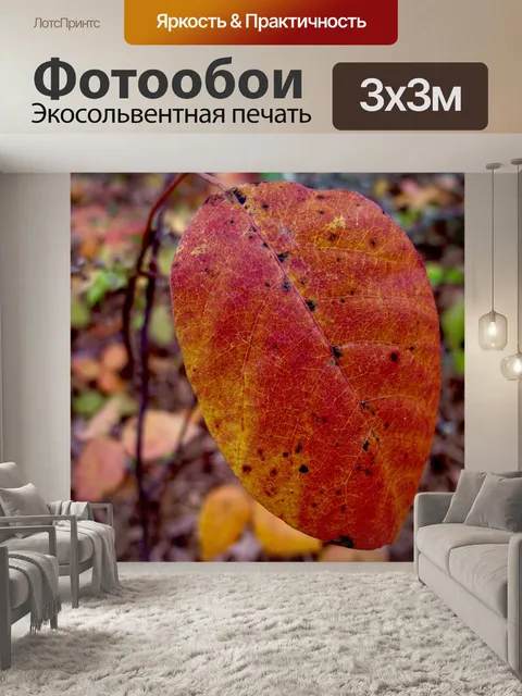 Фотообои Осень