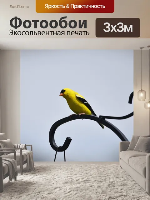 Фотообои Американский щегол
