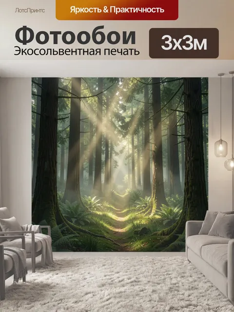 Фотообои Солнечный лес с тропой