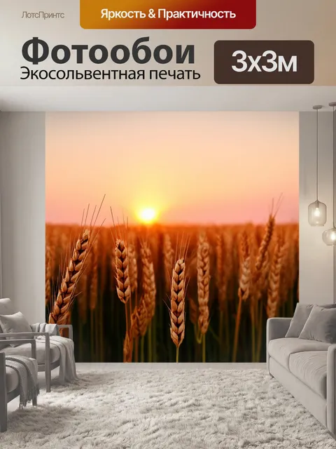 Фотообои утро: сцена с полем пшеницы