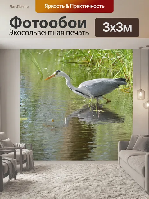 Фотообои Поймать рыбу 6