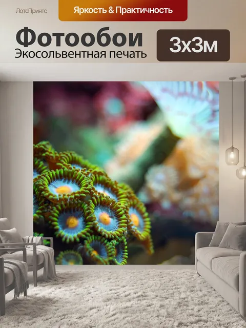 Фотообои Коралл