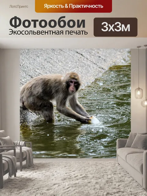 Фотообои Макака обезьяна
